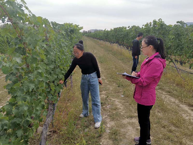 1603159152711028.jpg 4.jpg