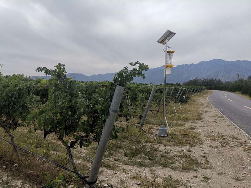 1603159158833997.jpg 5.jpg