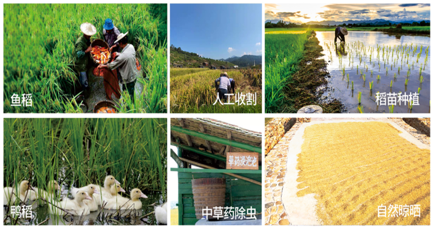 1683687162486131.png 1683687162486131.png